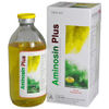Aminosin