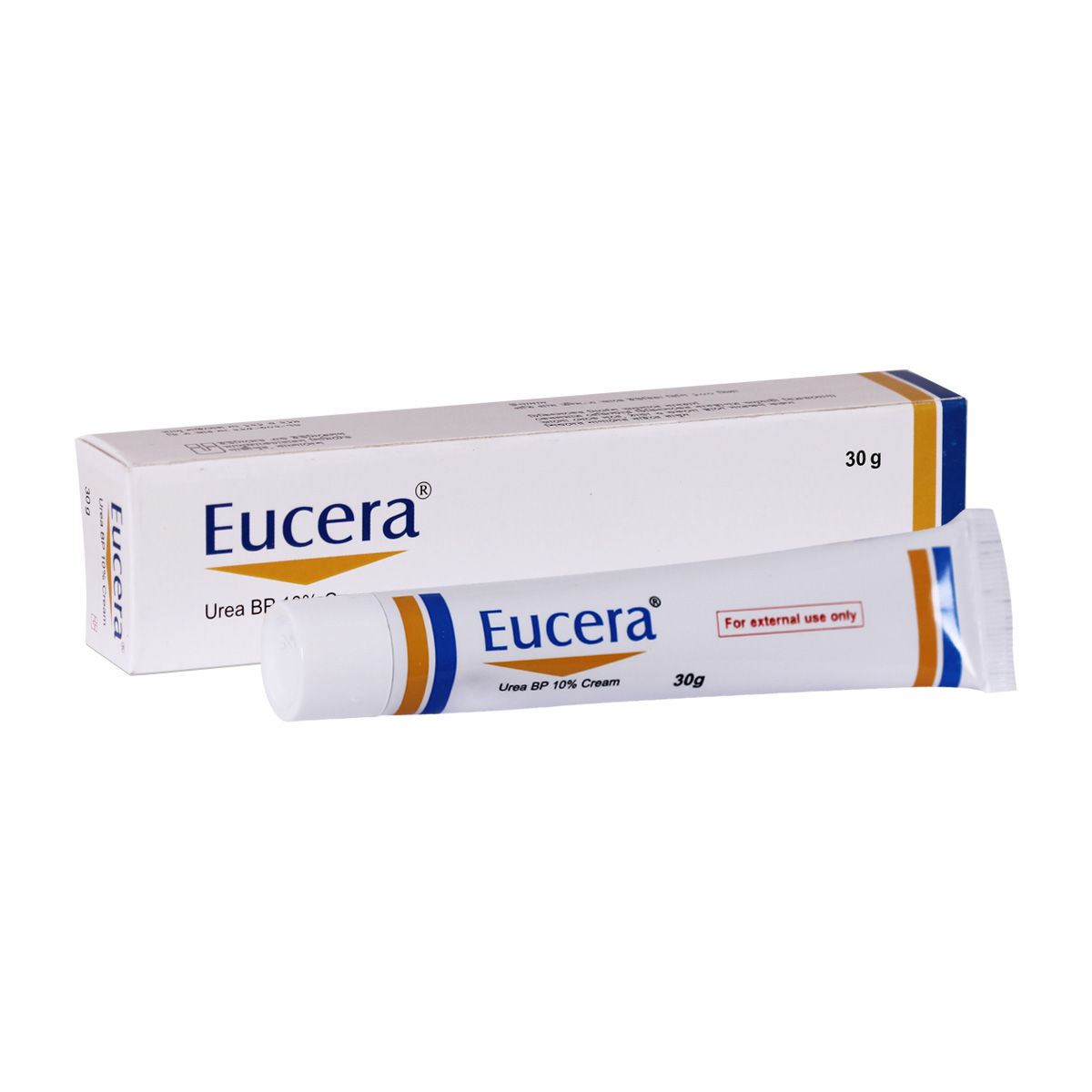 Eucera