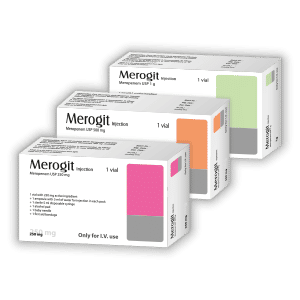 Merogit