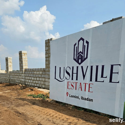 Premium Land in Ibadan for Sale with Certificate of Occupancy - image 1