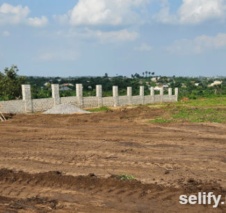 Premium Land in Ibadan for Sale with Certificate of Occupancy thumbnail 3