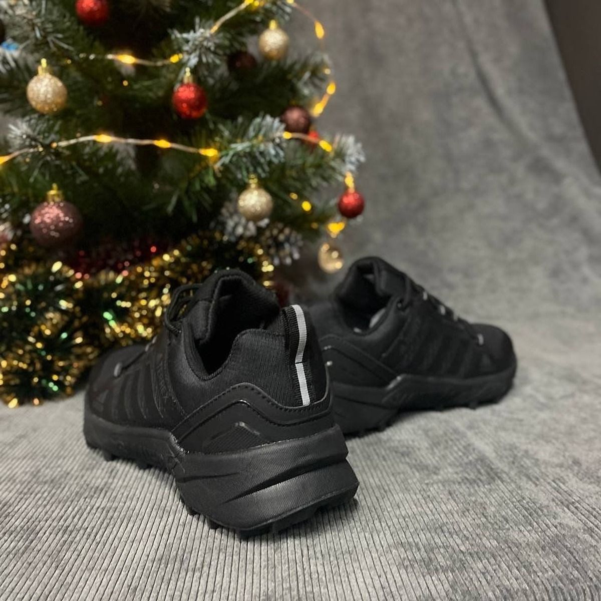 Adidas Terrex Gore-Tex