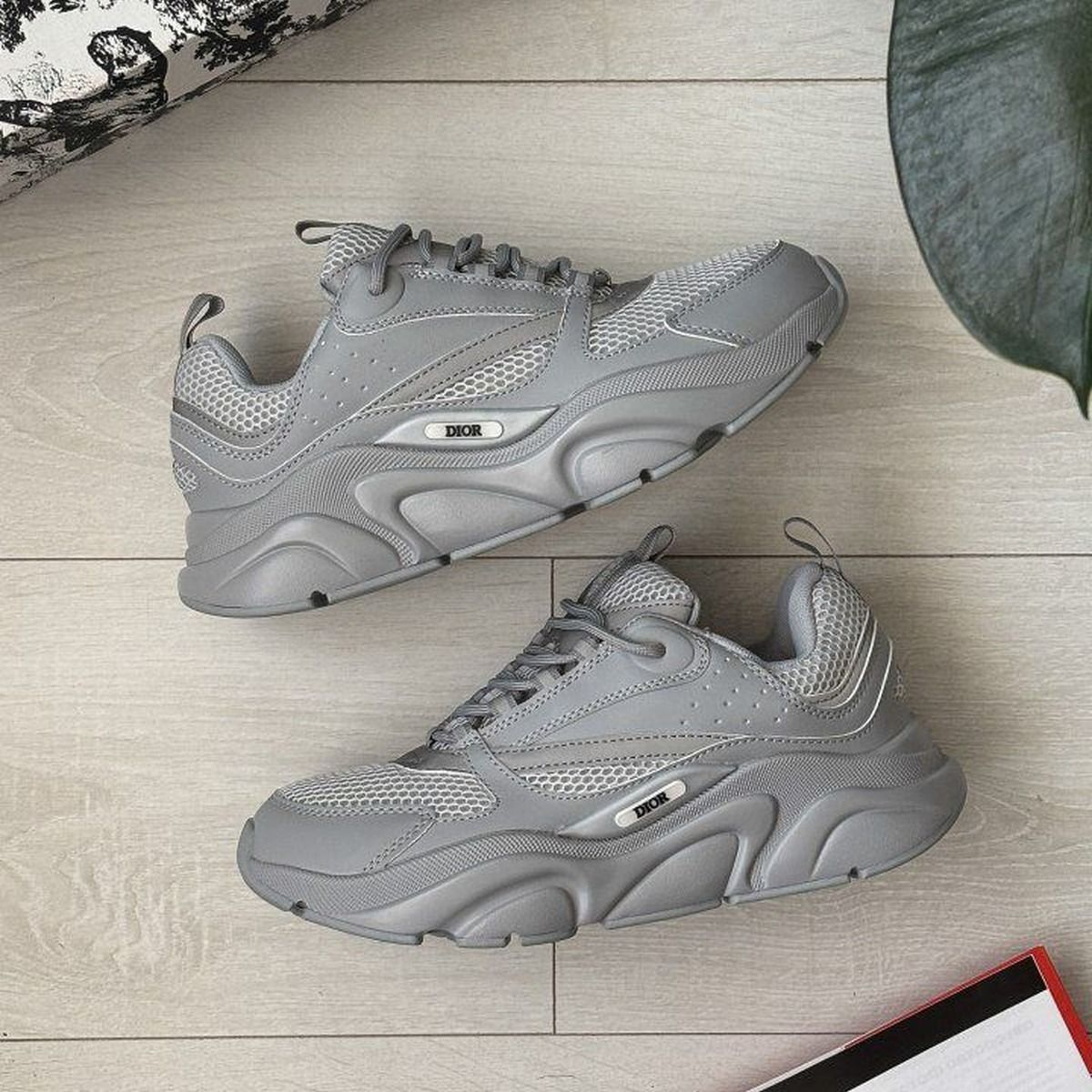 Dior B22