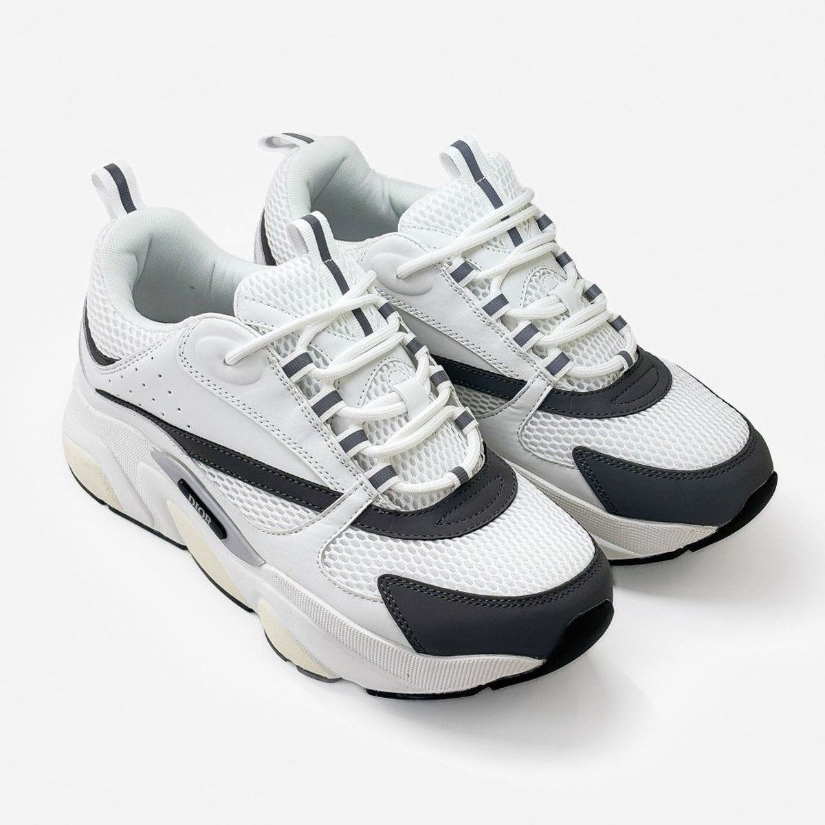 Dior B22