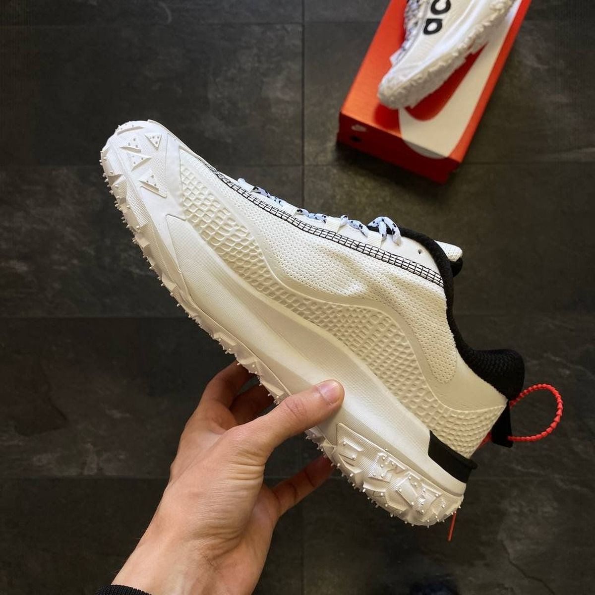 Nike ACG Mountain Fly 2