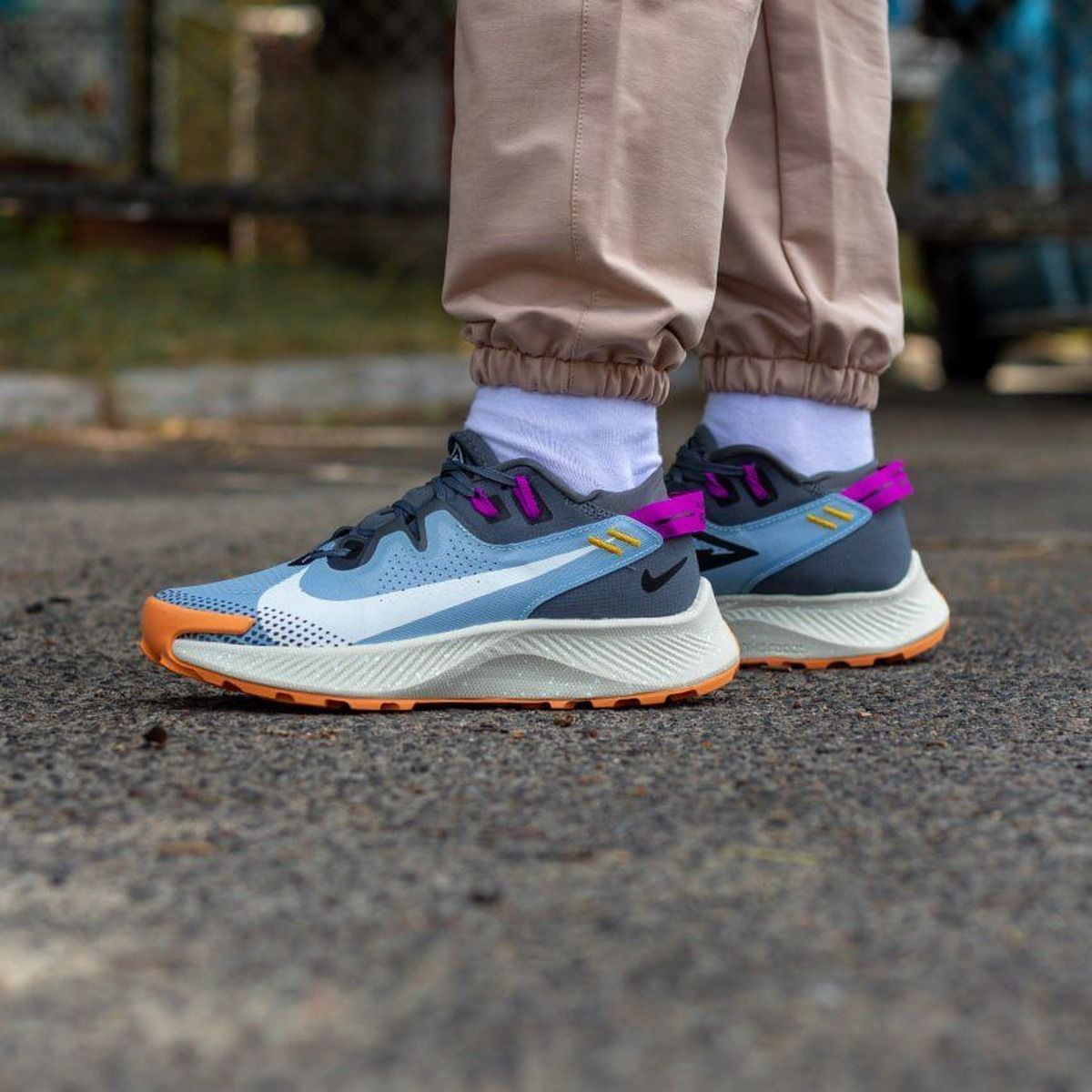 Nike Pegasus Trail 2