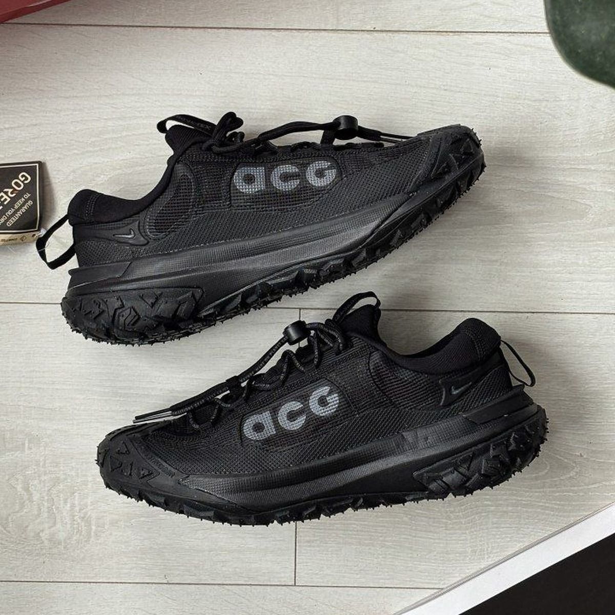 Nike ACG Mountain Fly 2 Low