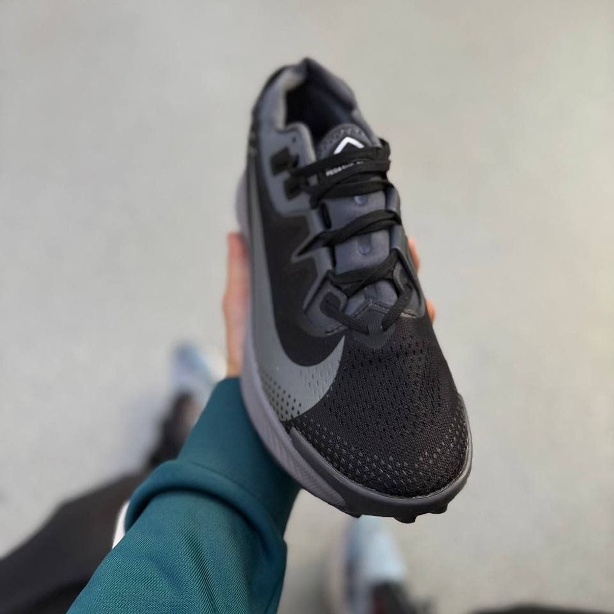 Nike Pegasus Trail 2