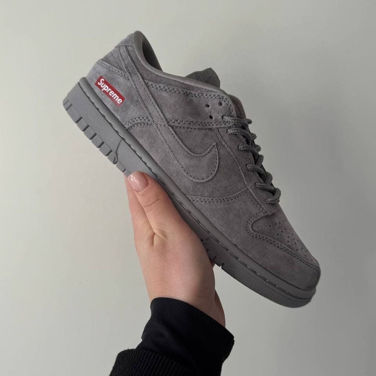 Nike SB Dunk x Supreme