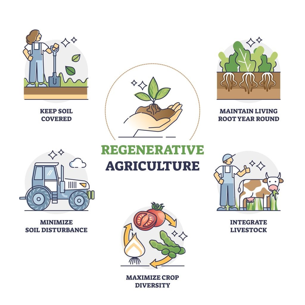 Qu&rsquo;est-ce que l&rsquo;agriculture régénératrice&nbsp;?