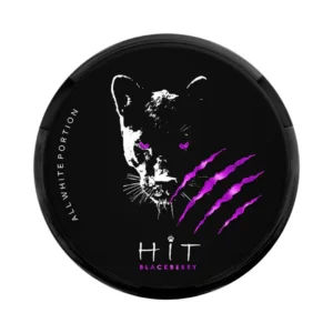 Hit Blackberry nicotine pouches