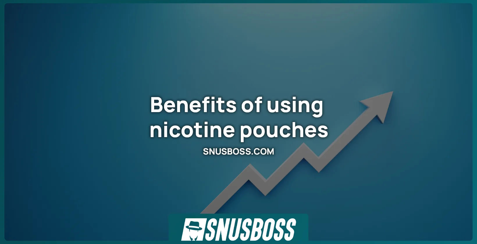 Benefits of using Nicotine Pouch