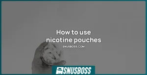 how to use nicotine pouches