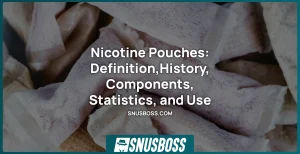 Nicotine Pouches Definition