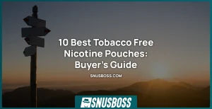 Best Tobacco Free Nicotine Pouches