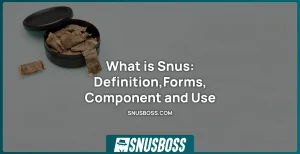 Snus Definition