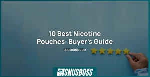 Best Nicotine Pouches