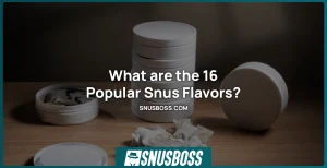 Popular Snus Flavors