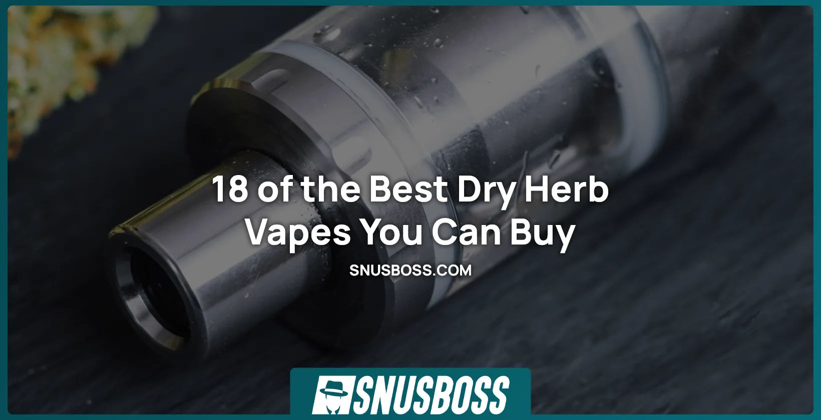 Best Dry Herb Vapes