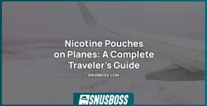 Can You Bring Nicotine Pouches on A Plane