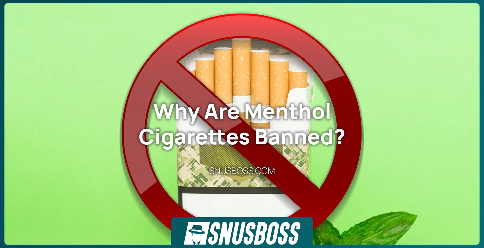 Ban on menthol cigarettes