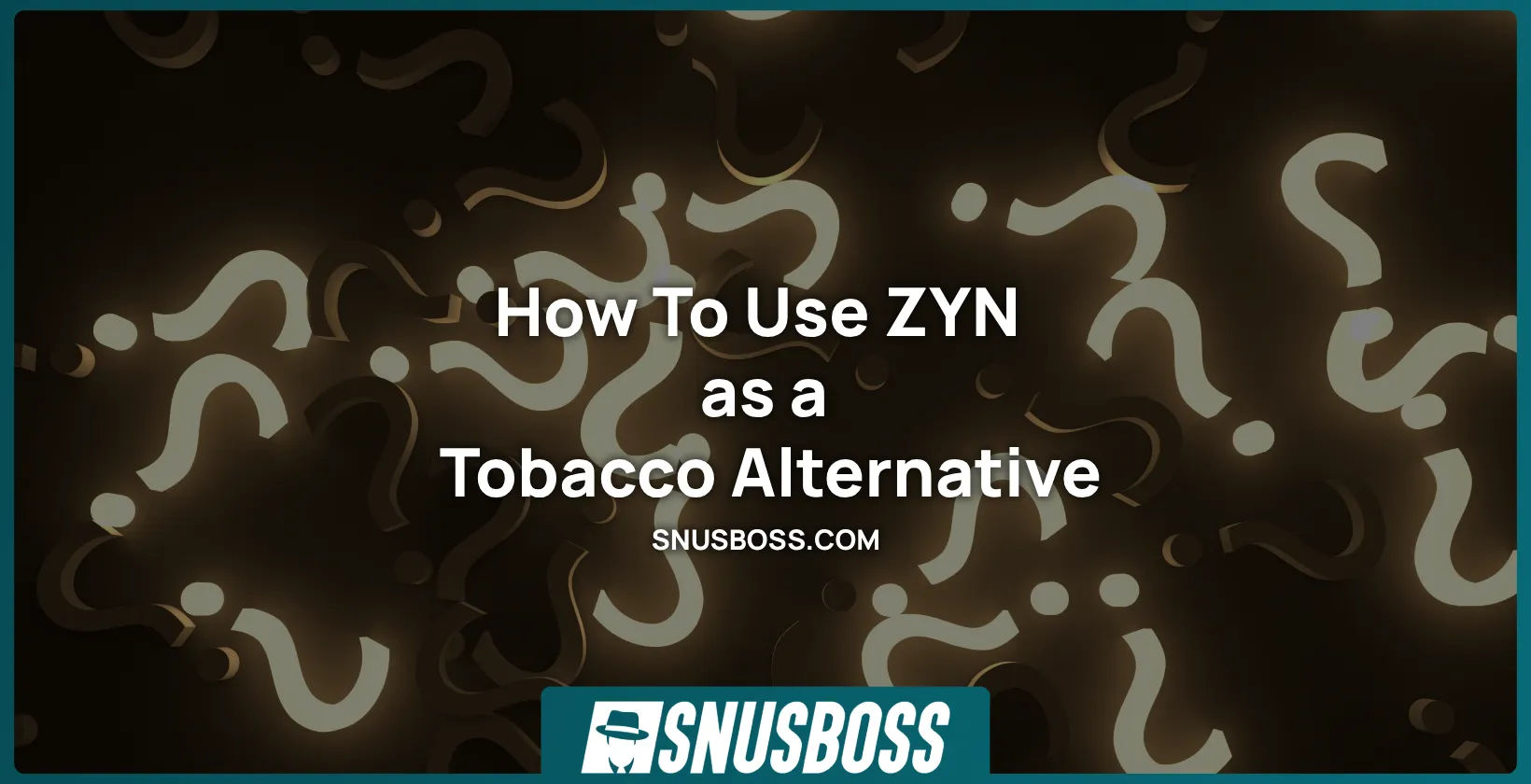 How To Use ZYN as a Tobacco Alternative