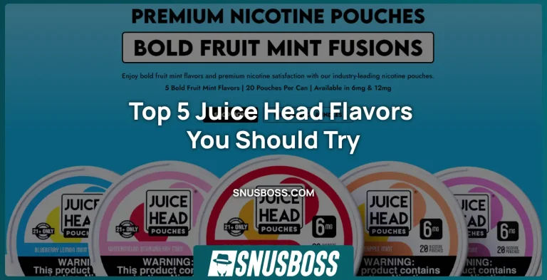 Top 5 Juice Head Flavors You Should Try