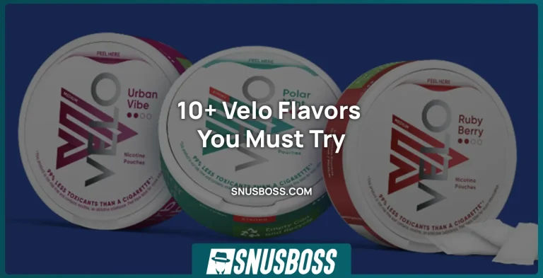 10+ Velo Flavors You Must Try