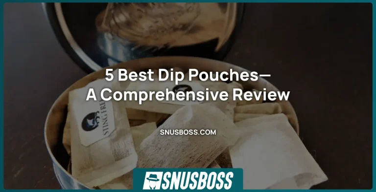 5 Best Dip Pouches—A Comprehensive Review