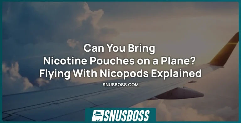 Can You Bring Nicotine Pouches on a Plane? Flying With Nicopods Explained