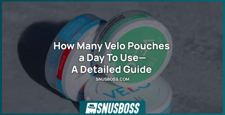 How Many Velo Pouches a Day To Use—A Detailed Guide 