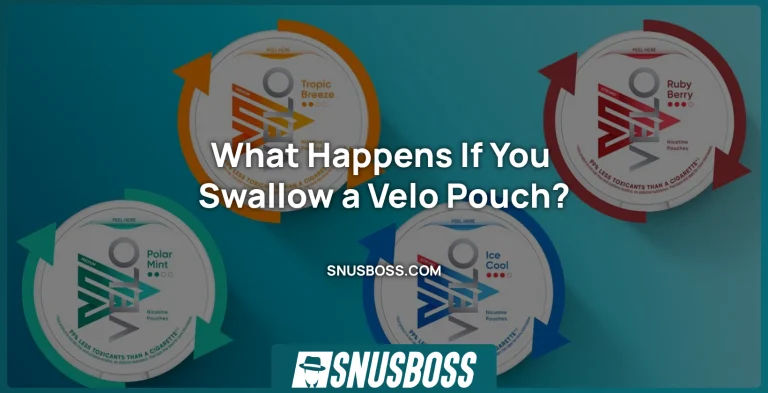 What Happens if You Swallow a Velo Pouch?