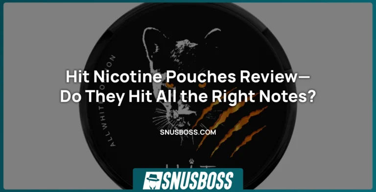 Hit Nicotine Pouches Review—Do They Hit All the Right Notes?