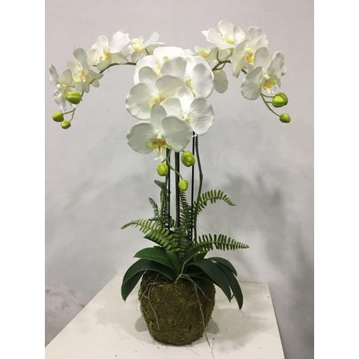 Vaso per orchidee Merina Bianco lucido Ø 10 cm / altezza 12 cm