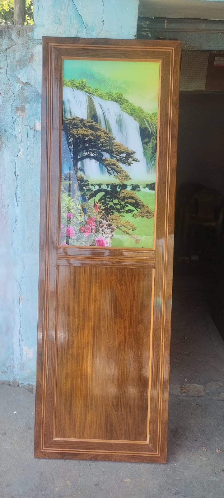 Mirror View Door Design 1