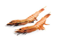 Gambas