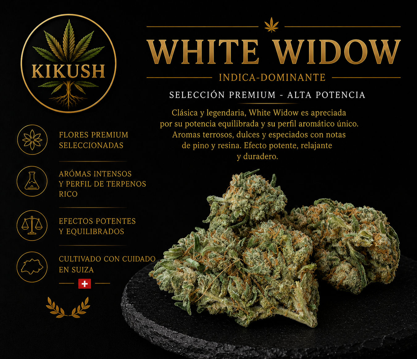 White Widow Indoor