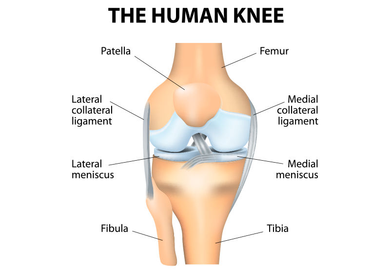 Anterior Cruciate Ligament Tear (ACL Tear) - Sarasota, FL