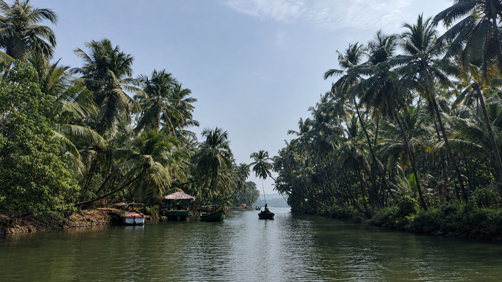 Mangrove-lined Sharavathi backwaters near Honnavar