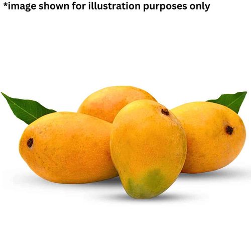 Premium Alphonso Mangoes