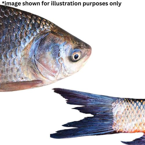 Jumbo Rohu/Rui Combo - Head and Tail Portion Cut