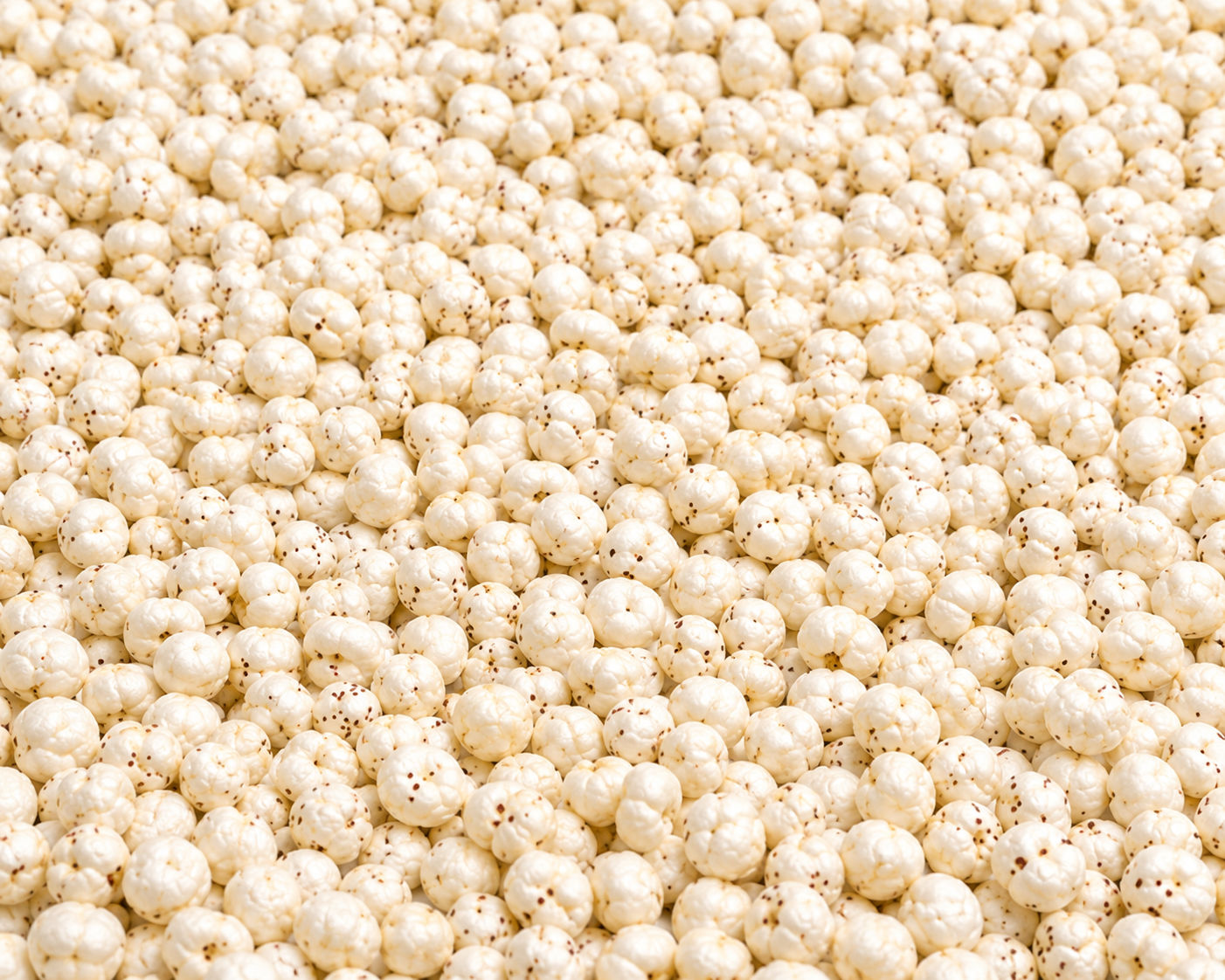 Premium 4+ Sutta Raw Makhana thumbnail 1