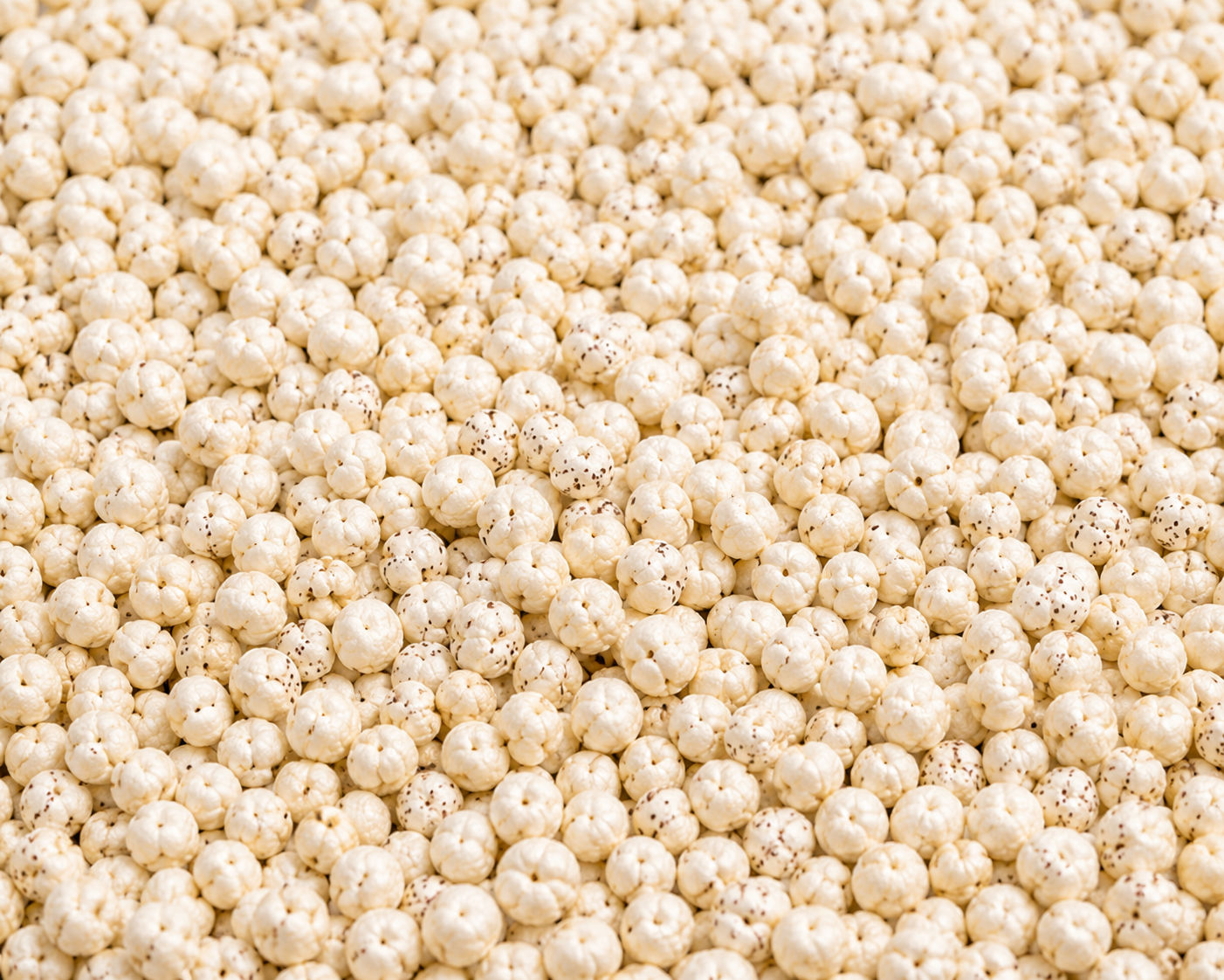 Premium 5+ Sutta Raw Makhana thumbnail 1
