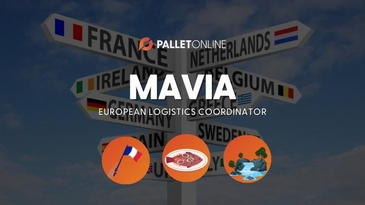 Meet the Team - Mavia