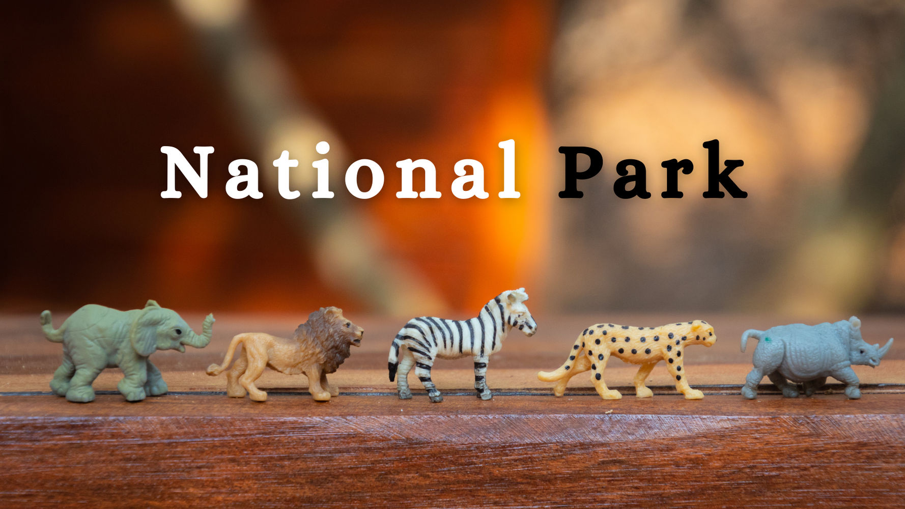 OAV-NATIONAL PARK (PRACTICE SET-4)