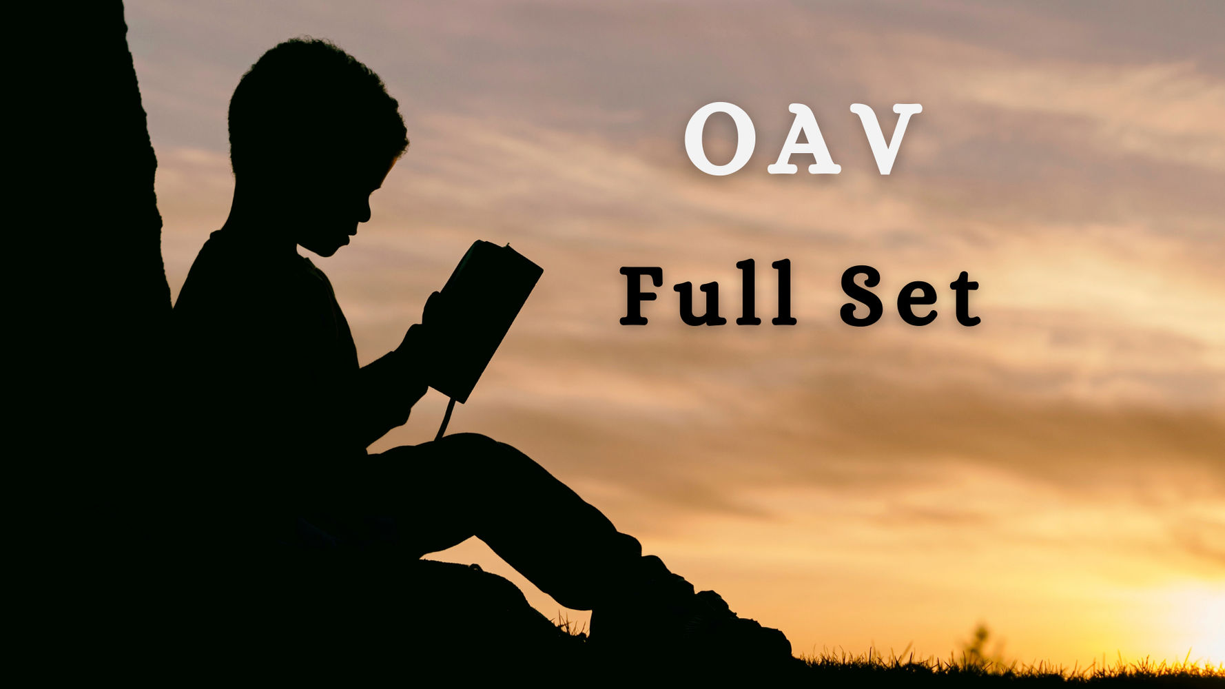 OAV-PREVIOUS PAPER (2019)