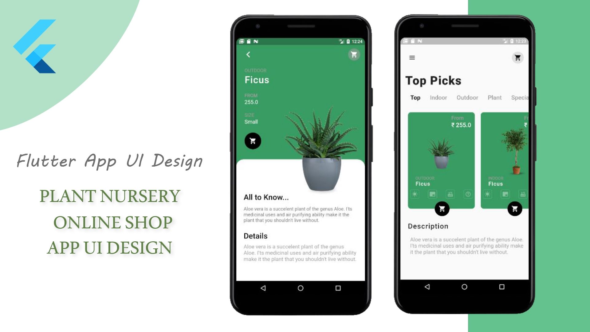 Flutter Plant Shop UI Design - Free Projects