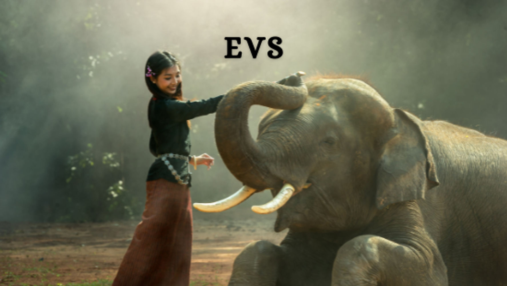 CHAPTER-4 MANGOES ROUND THE YEAR (SET-1)