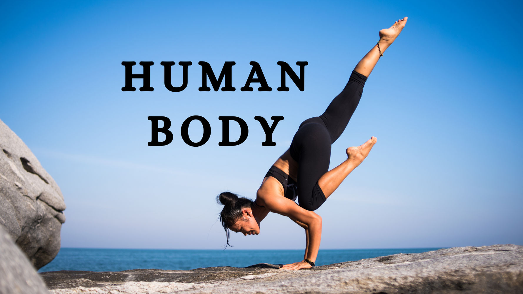 OAV-HUMAN BODY (PRACTICE SET-3)