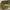 [Pre-Sale] 152-Inch Extra-Wide Modern 4-Seater Deep-Seat Sofa - Olive Green Chenille and Faux Leather